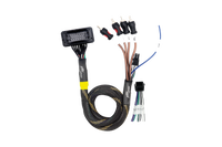 JBL® RCA Output Harness | UTVS-JBL-RC-RCA-OUT