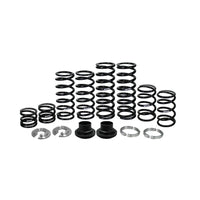 Polaris RZR XP 1000/Turbo Stage 1 Dual Rate Spring Kit (Fox IBP Shock)