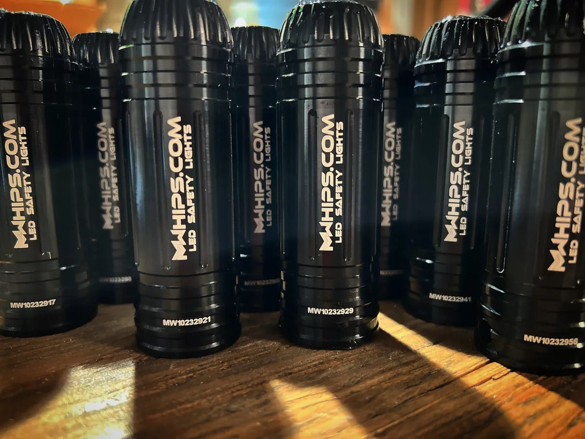 BUDGET FRIENDLY DAY WHIPS BASES