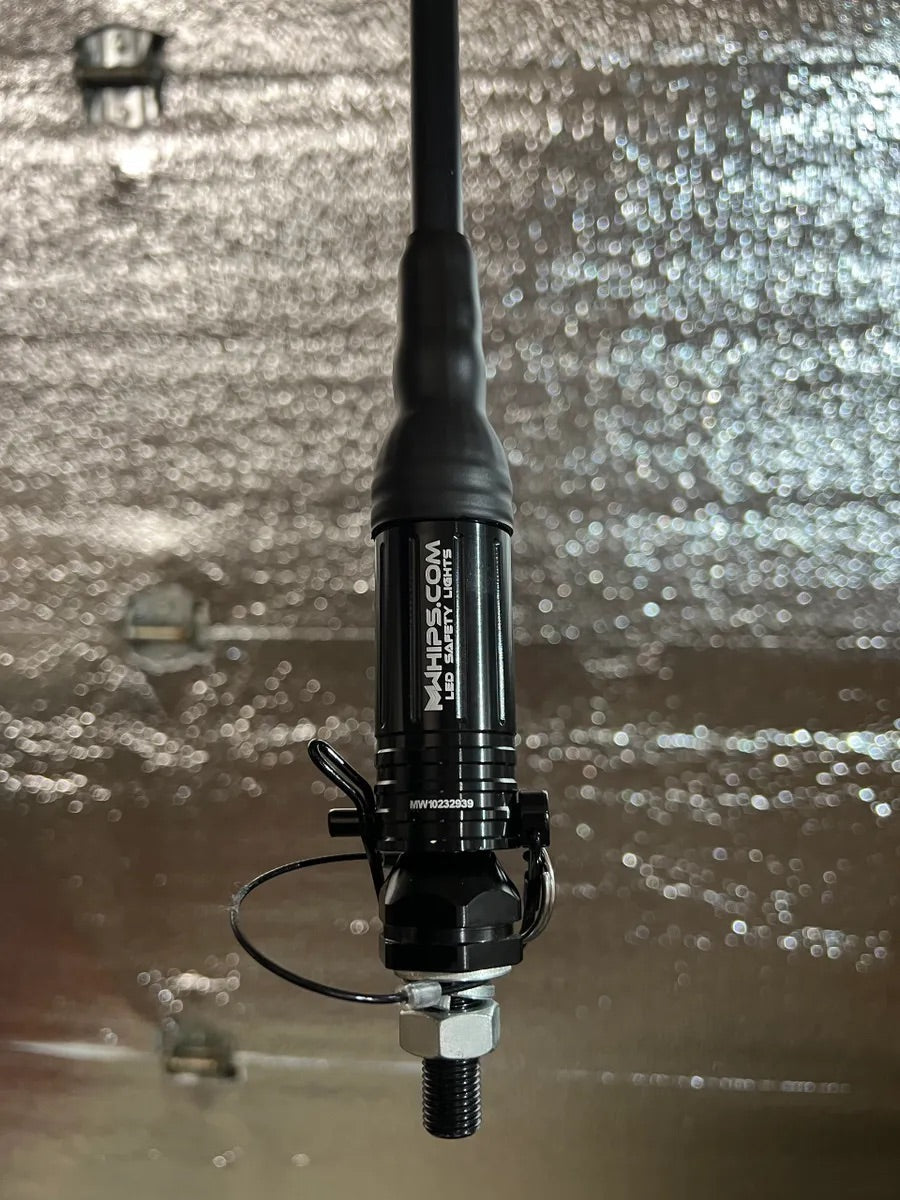 BUDGET FRIENDLY DAY WHIPS METAL BASE