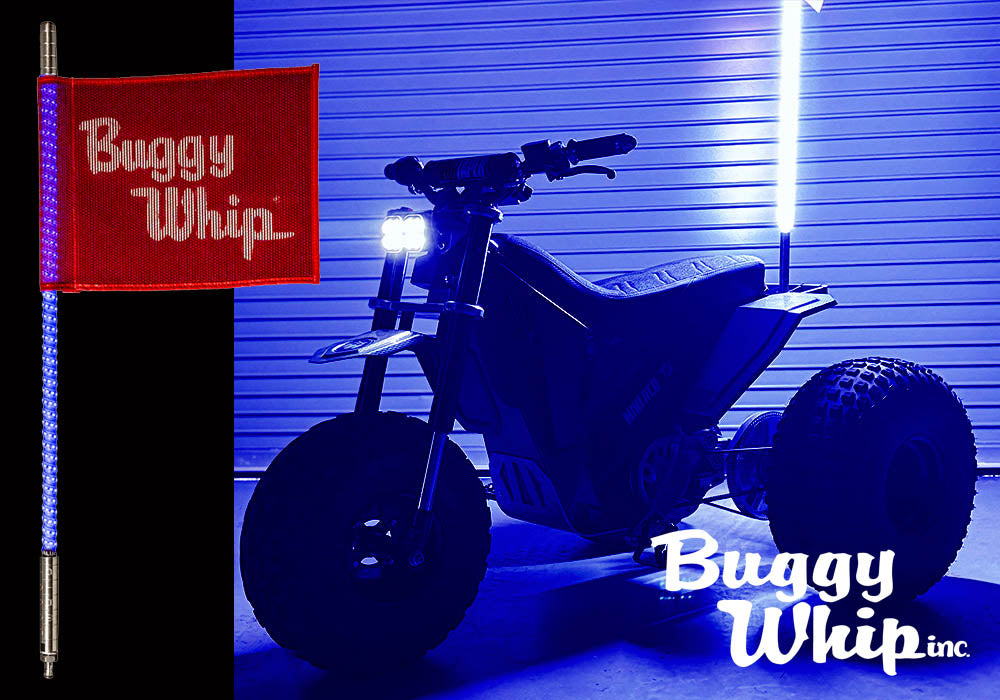 Buggy Whip Kit - WIRED Blue