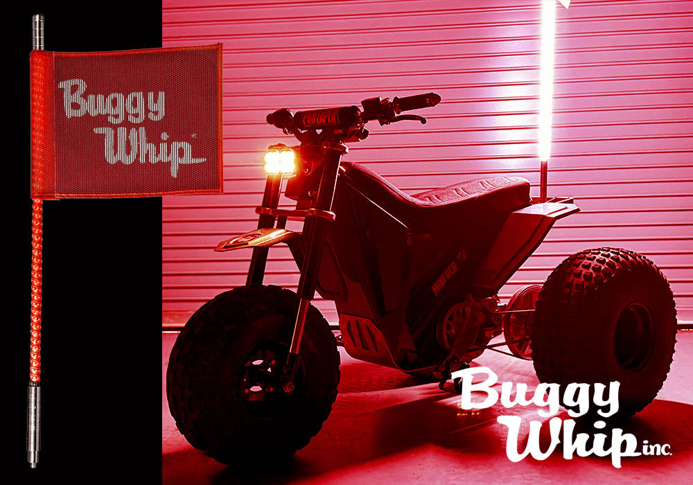 Buggy Whip Kit - WIRED Red