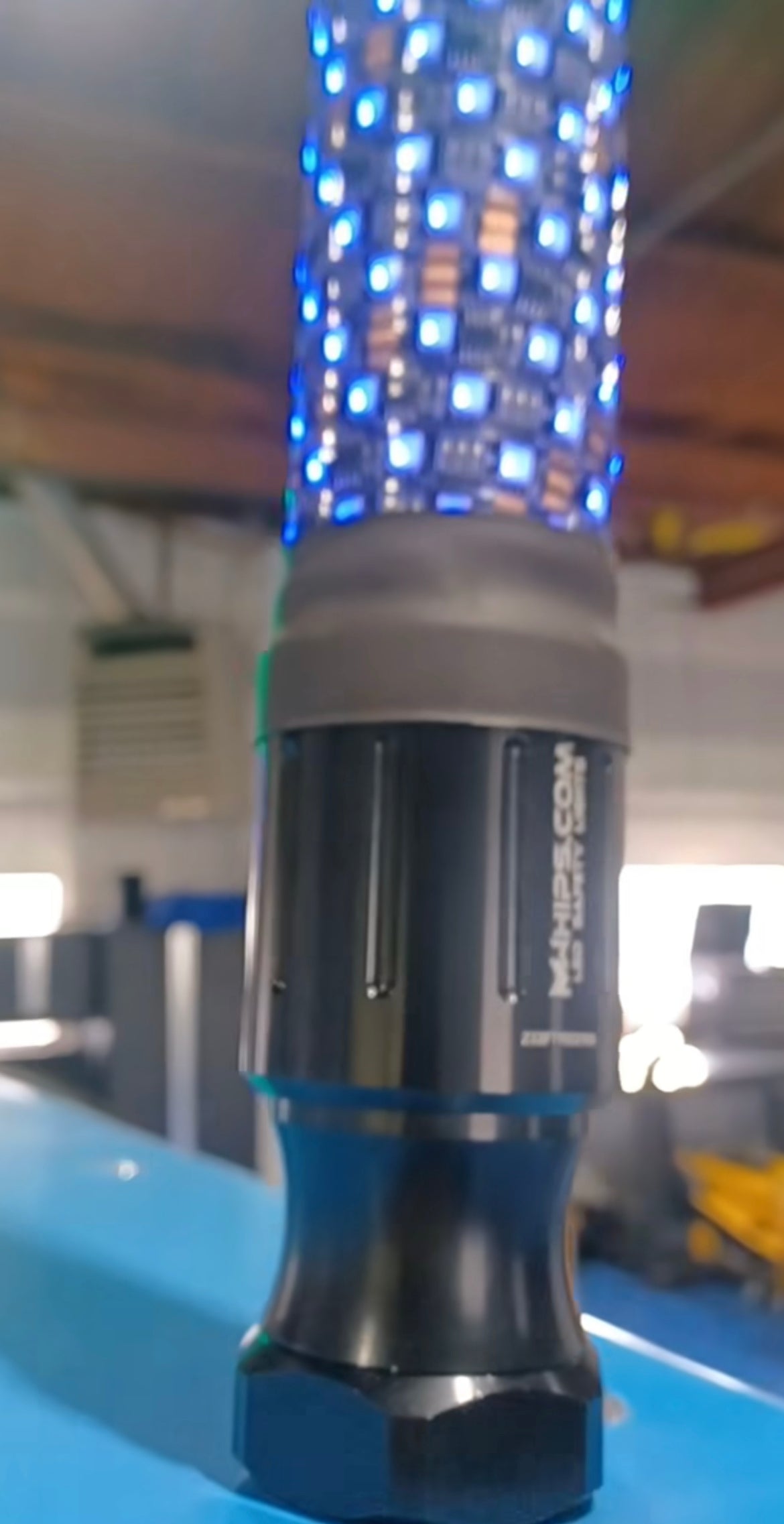 COLOR CHANGING DONKEY WHIP - Pair - Mwhips