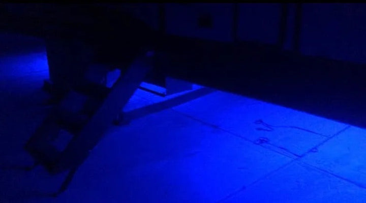 CAMP LIGHTING