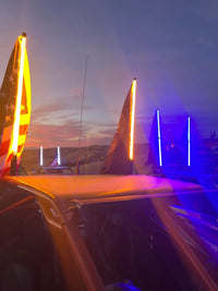 SINGLE COLOR X SERIES WHIPS