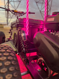 T2 RGB COLOR CHANGING WHIP LINE