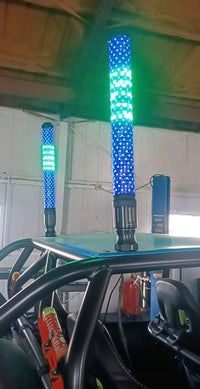 COLOR CHANGING DONKEY WHIP - Pair - Mwhips