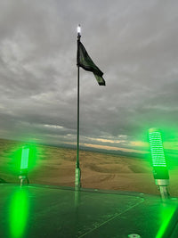 JUST THE TIP WHITE WITH GREEN DONKEY WHIPS