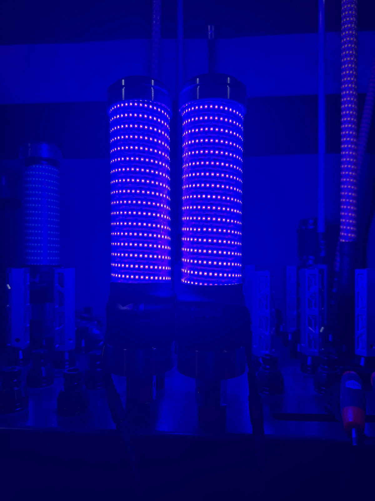 MURRAY DONKEY WHIP BLUE PAIR