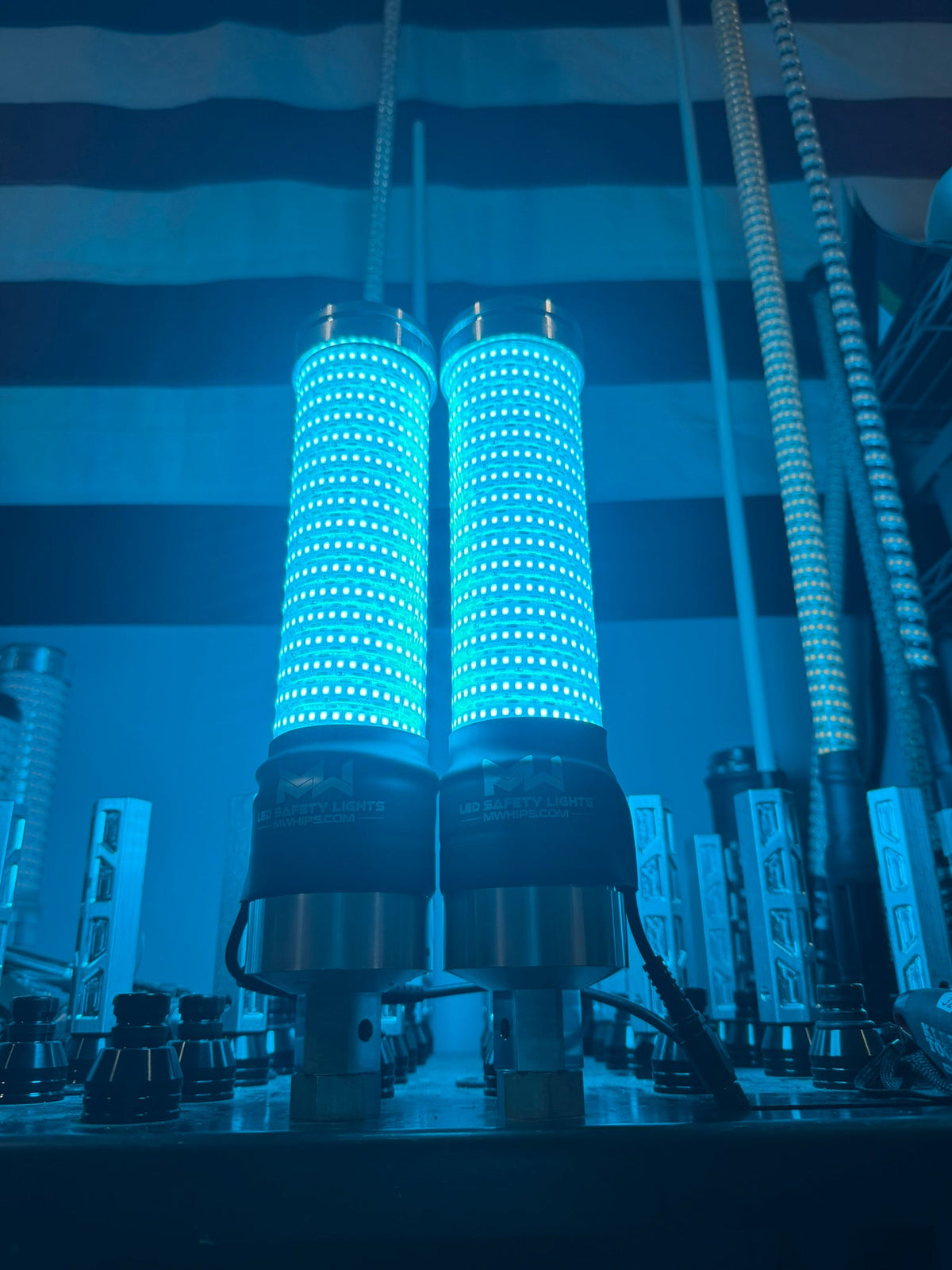 MURRAY DONKEY WHIP TEAL PAIR