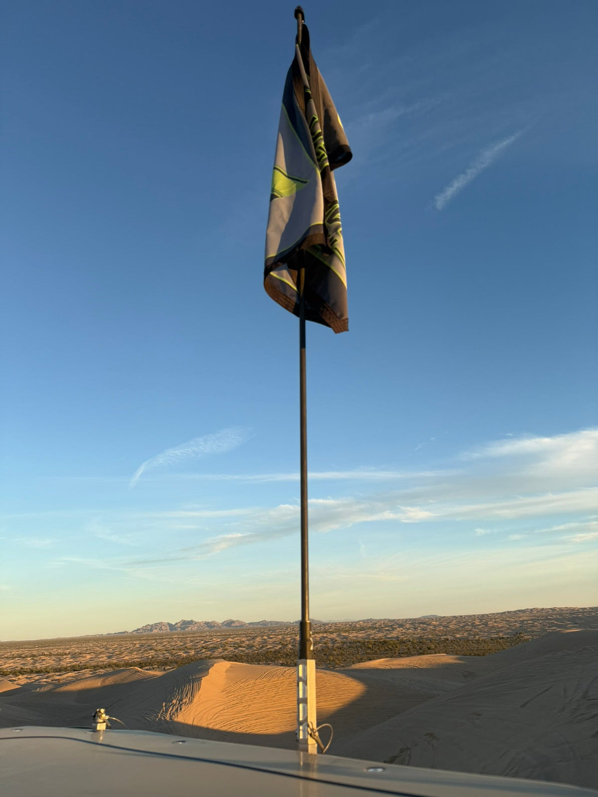 MURRAY FREEDOM DAY WHIPS 