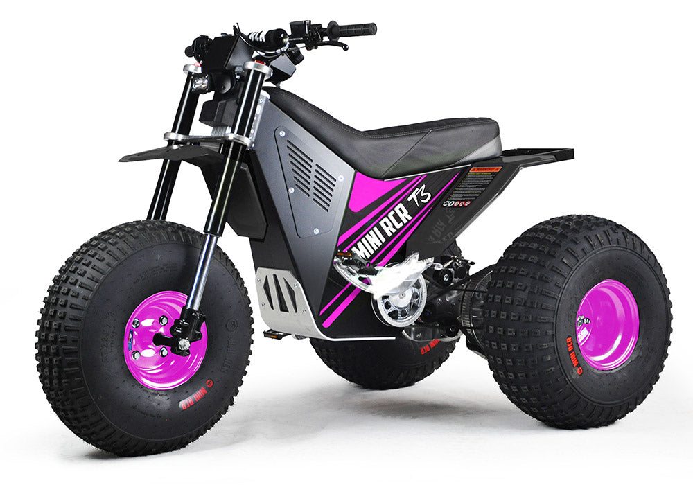 MINI RCR T3 - Pink with Black Carbon Fenders (Special Edition)