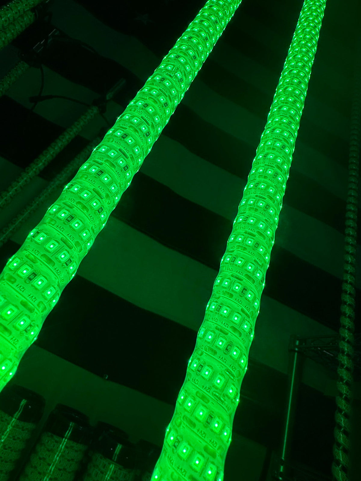 THE MURRAY FREEDOM WHIP Green