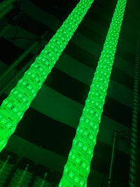 THE MURRAY FREEDOM WHIP Green