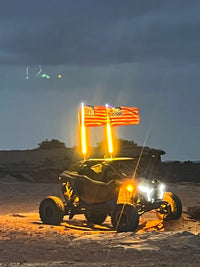 THE MURRAY WHIP AMBER