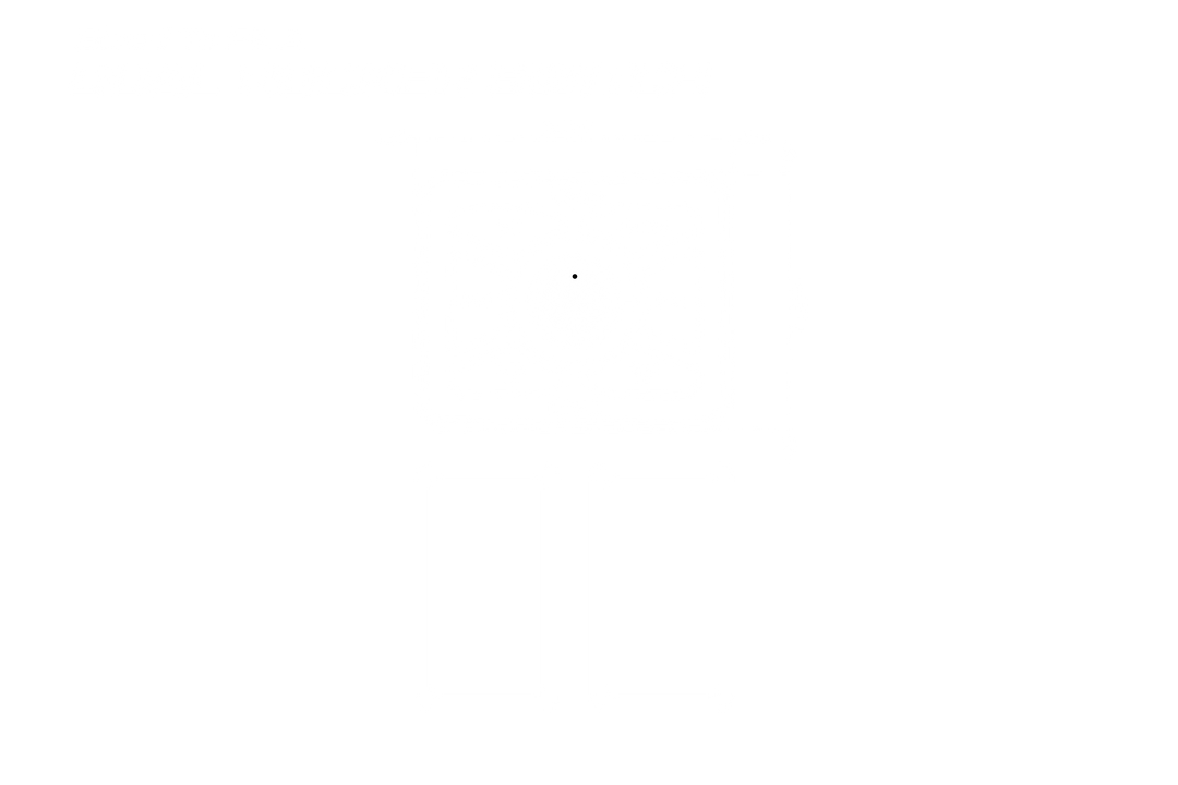 Small black dot centered on a white background