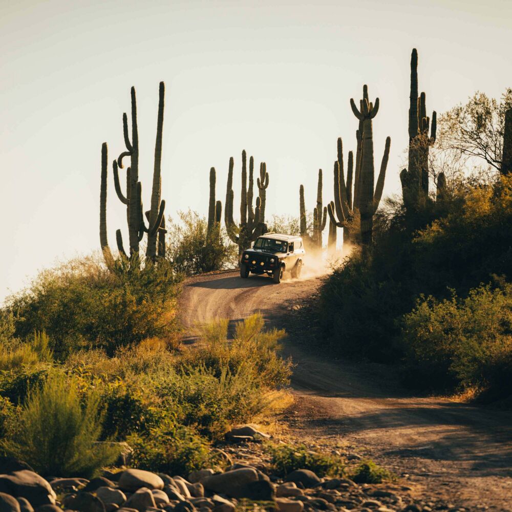 6" Apollo Pro - Stone Guard / Grille - # 7216