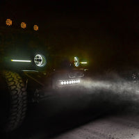 FLEX ERA® LED Light Bar - 10" Light Shield - Clear - # 5332