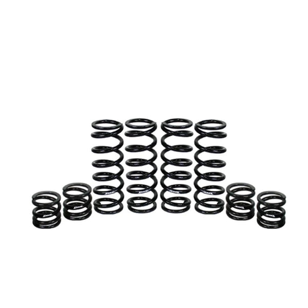 Honda Talon 1000X-4 Stage 1 Spring Kit