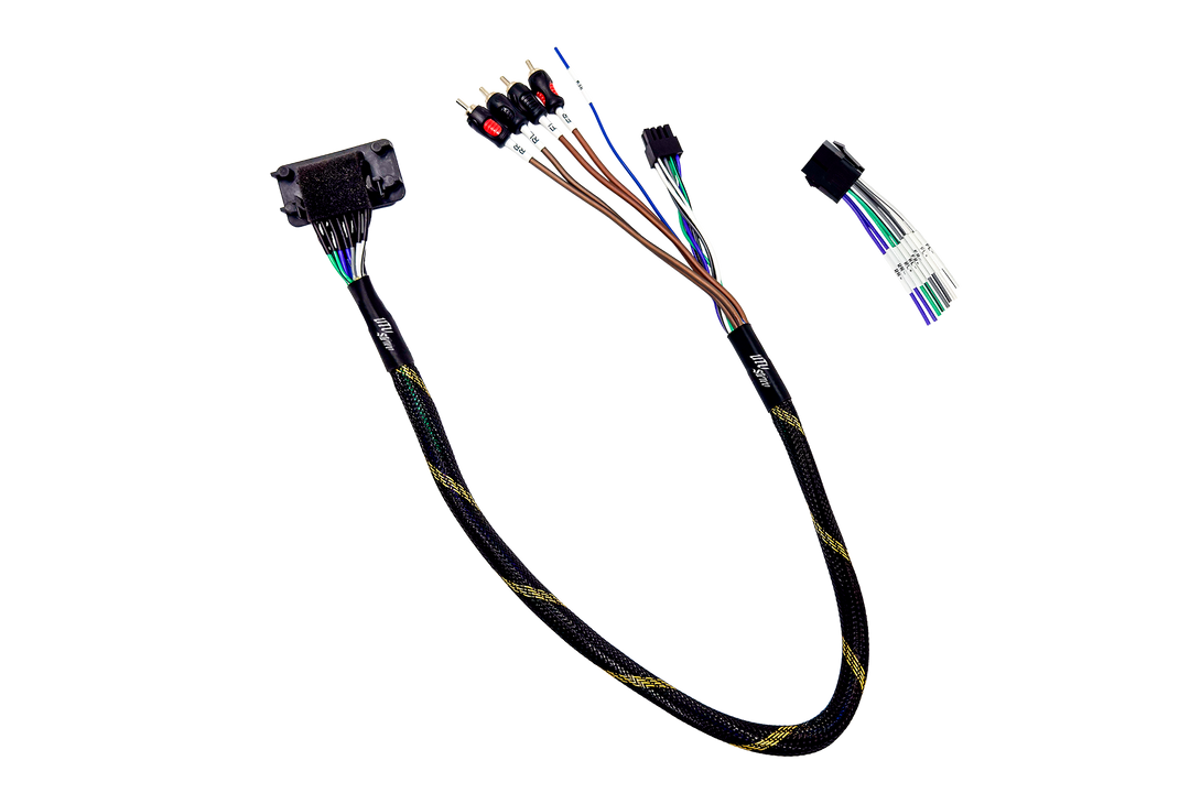 UTV Stereo wiring harness with RCA connectors and labeled speaker wires