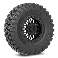Alpha on 15x7 V08 SB - Valor Offroad
