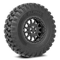 Alpha on 15x7 V09 BC - Valor Offroad