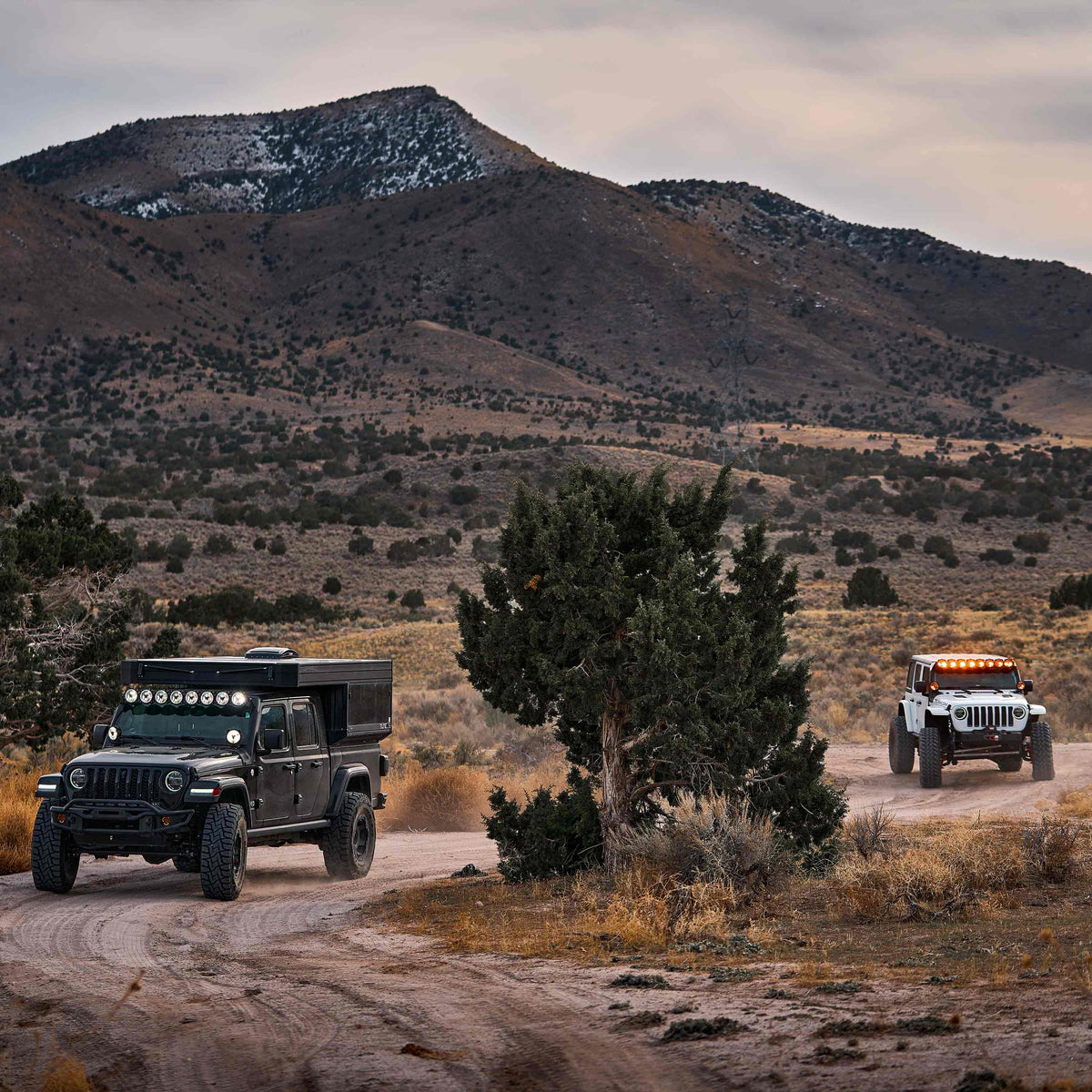 50" Gravity®️ Titan™ LED Light Bar - 8-Light - #91418